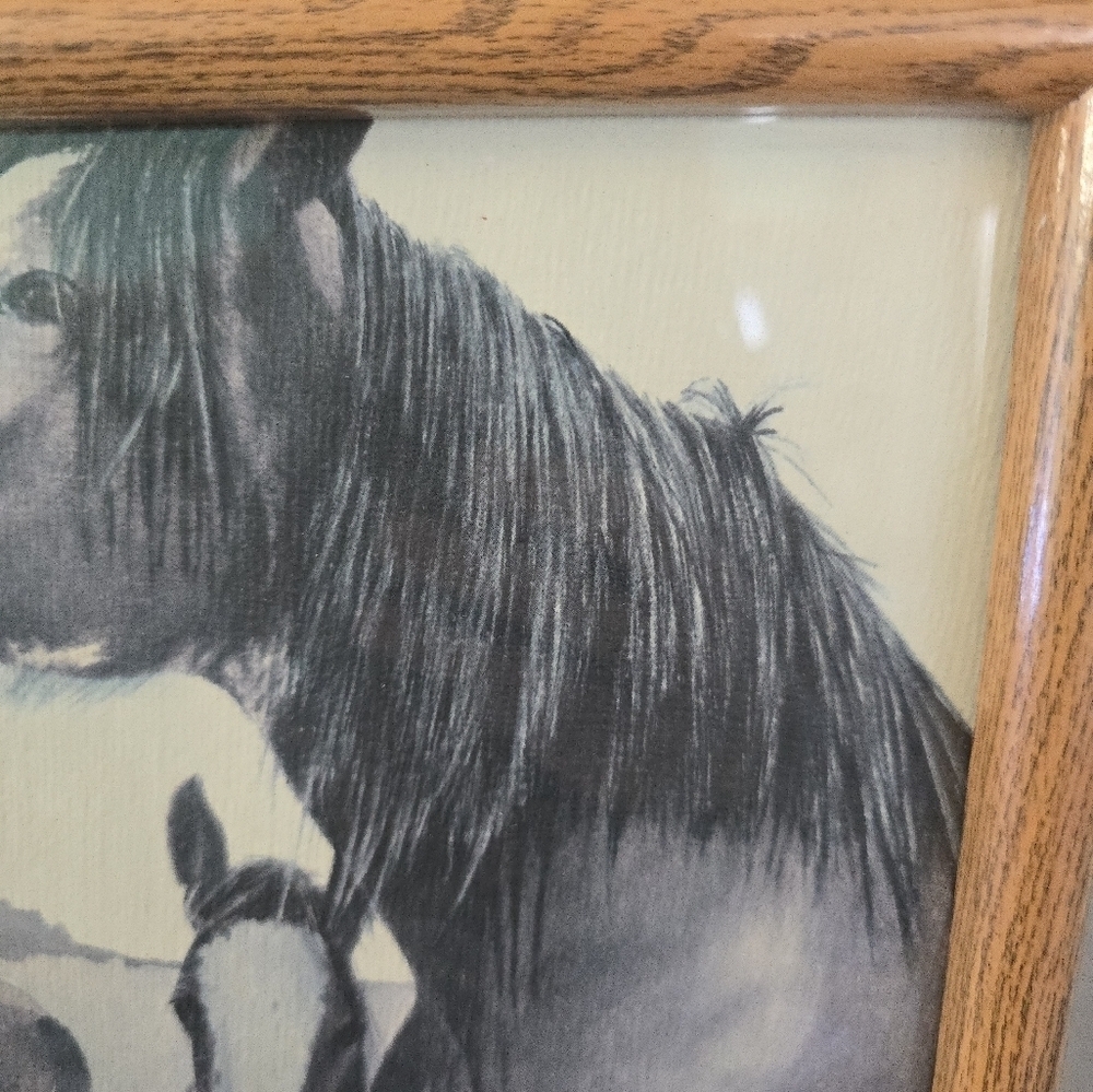 Framed Richard Dick Lynch Pencil Drawing? of Horses 1976 Mom & Fowl - Picture 5 of 8